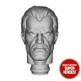 3D Printed Head: The Punisher Comic Version "Spidey Villain" for WGSH 8" Figure (Flesh)