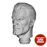 3D Printed Head: The Punisher Comic Version "Spidey Villain" for WGSH 8" Figure (Flesh)